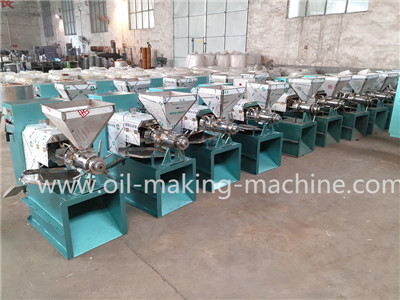spiral cold press oil machine