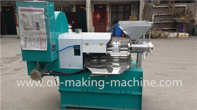 Groundnut cold press oil machine