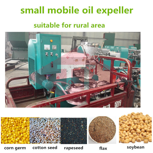 screw cold press oil machine