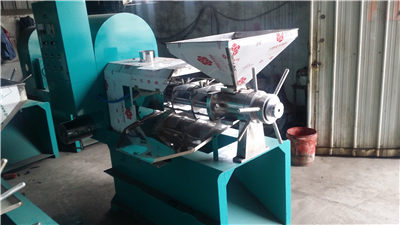 Flax oil press machine