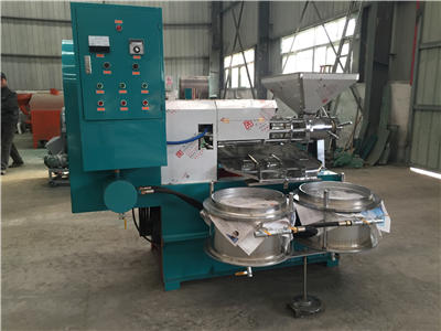 Sunflower seed oil press machine