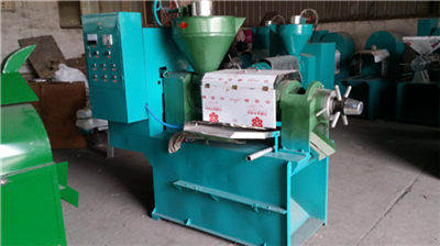 Flax oil press machine